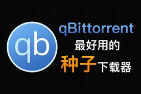 还在用迅雷下载种子？你应该换成这款电脑软件！视频封面