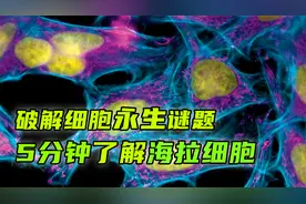 人类发现的第一个“永生细胞，无限分裂18000代，重达5000万吨视频封面