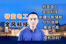 特变电工 金风科技 新疆风能储能纷纷涨停 离场恐高or借机加码？