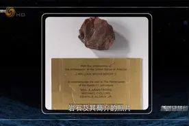 美国送给荷兰的月壤 只是一块木化石？｜新闻鉴证组