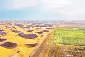 中国新发明，只需两分钟就可以让沙子变成土壤，已经试验成功了视频封面