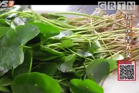 一种叫青天葵的中药，广东大厨用它来煲汤，清热解毒，味道还不错视频封面