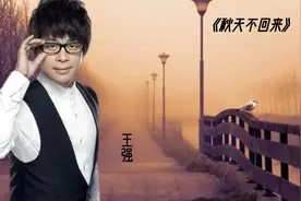 王强《秋天不回来》当年火遍大江南北的一首经典歌曲！