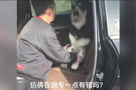 全网上车最快的阿拉斯加，上车只上专属座驾！怎么甩都甩不掉