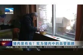 猪肉里有虫？实为猪肉中的血管筋膜