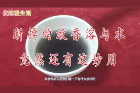 断了的蚊香怎么用？教你2个妙招，以后断掉的蚊香再也不扔啦