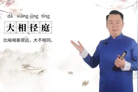 轻松学成语——大相径庭视频封面