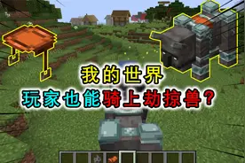 我的世界：神奇的卫道士套装，穿上后能骑掠夺兽，就是有点废命