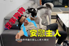 狗狗太暖心了，看到主人嚎啕大哭，竟然如此安慰主人，好感人