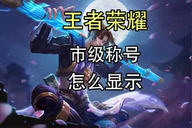 王者荣耀市级称号怎么点亮？王者荣耀市级称号怎么显示？