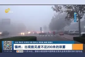 德州大雾天气基本结束，京台高速济南方向沿线收费站恢复通行视频封面