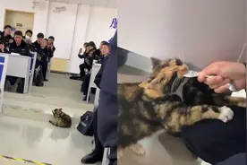 猫咪闯入警校教室卖萌，瞬间变团宠，猫：男人被我的身姿迷倒吧