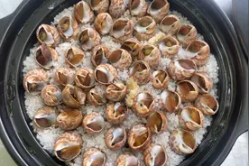 28元一斤的花螺，买些回来做盐焗花螺，美味的下酒菜，非常解馋视频封面