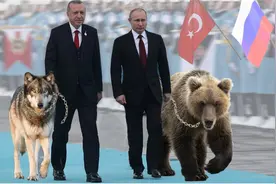 盘点20国动物国宝：印度是虎、美国是鹰，第15个国家国宝你经常吃视频封面