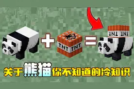 我的世界关于熊猫你不知道的冷知识！