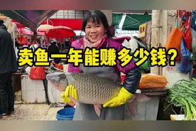 卖鱼到底有多赚钱？广州老板娘菜市场摆摊7年，一年几十万全靠拼
