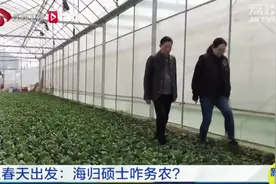 年产2000吨！常熟海归女硕士承包300亩农田成为种地高手视频封面