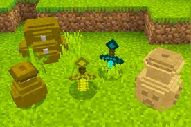 我的世界：这些宝藏里装满了无价之宝？！