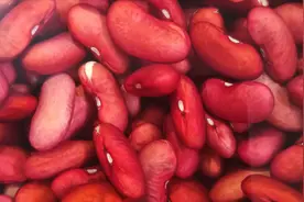 红芸豆不光能煮粥吃，做菜吃更有味，简单又营养，还很美味