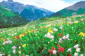 经典云南山歌《十朵鲜花》二胡版，这才是音乐的魂，太有感觉了