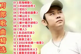 刀郎歌曲精选16首