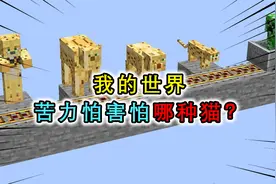 我的世界：苦力怕最怕哪种猫？豹猫威胁不大，猫人1击击杀苦力怕