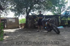 你听说过狗也会换牙吗？没错，尤其是养这种狗一定要小心