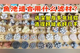 鱼池侧滤过滤适合用什么滤材？滤材选得好，能省好几千视频封面