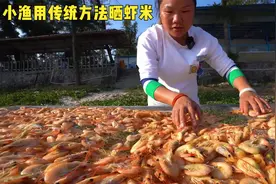 出海捕虾大丰收，小渔用传统方法做虾米，原来流程这么复杂