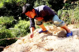 鸭子被野东西吃掉几只，小伙一探究竟，发现貌似老虎的梅花脚印！