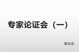 专家论证会（一@远东股份600869SH）