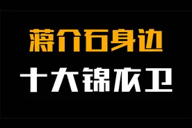 蒋介石身边的十大锦衣卫，个个都是狠角色，毛人凤进不了前五！视频封面