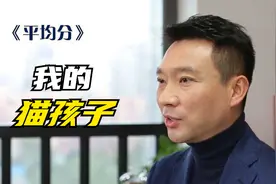康辉：我的“猫孩子”视频封面