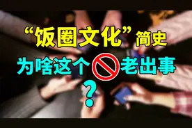 什么是饭圈文化？为啥这么乱？14分钟搞清楚！视频封面