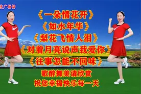 《一朵情花开》《如水年华》《梨花飞情人泪》《往事怎能不回味》