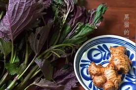 1块钱一把的紫苏用处多，和生姜炒一炒，全家都能喝，祛风寒真好