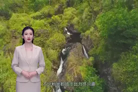 狗狗是如何“配种”的，它们为何会背靠背分不开？视频封面