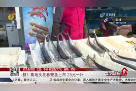 快尝鲜！青岛春鲅鱼新鲜上市，肉质紧实嫩滑，价格25元一斤不愁卖视频封面