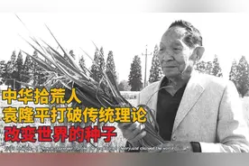 袁隆平的杂交水稻技术到底有多牛？看完你心里就有数了视频封面