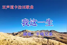 双声道卡拉OK歌曲《我这一生》抖音热歌伴奏半吨兄弟推荐KTV音乐视频封面