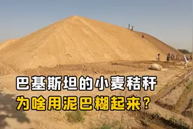 巴基斯坦的小麦秸秆，为啥堆起来用泥巴糊住？这不是多此一举吗？视频封面