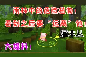 迷你世界-新地形的危险植物灌木丛，看到之后小伙伴们一定要远离