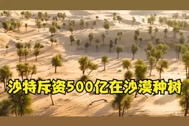 沙特下定决心治理沙漠，花500亿在沙漠种树，中国鼎力相助视频封面