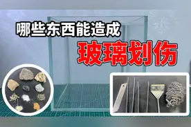 划伤我们的鱼缸玻璃的是哪些常用造景素材和工具