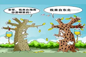 水土不服还能引起肠炎要住院？教你几招轻松预防水土不服视频封面