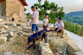 院子围墙地基，用这些石头打底，省多少砖算多少！视频封面