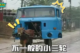 最近三轮是满街跑，可你们的操作，是真的太迷惑视频封面