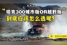 坦克300越野版、城市版应该怎么选？纯干货无广告，看完你就会了