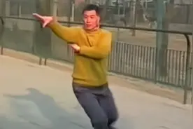 北京武术名家刘敬儒先生演示程派八卦掌及实战应用