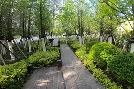 大连风水最好的楼盘在高新区，如同大学校园，山湖草木亭台楼榭视频封面